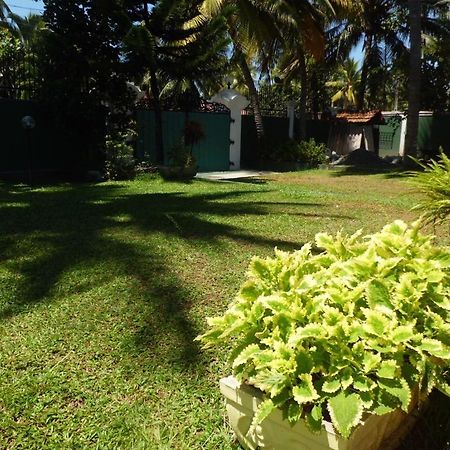 Villa W Bentota Bagian luar foto