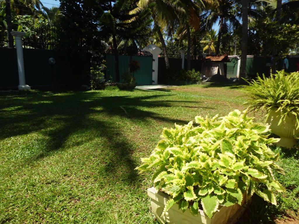 Villa W Bentota Bagian luar foto
